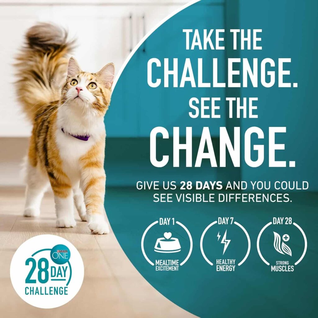 Purina One Tender Selects Chicken 22 Lb cat food high quality
