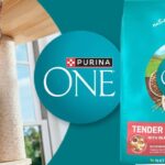 Purina One Tender Selects Salmon