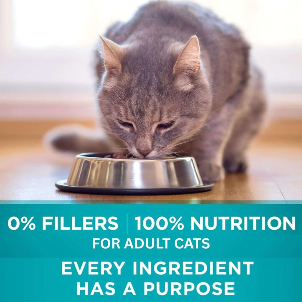 Purina One Tender Selects Salmon 22 Lb Feline Feast!