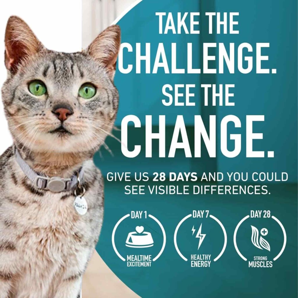 Purina One Tender Selects Salmon 22 Lb cat food Cat Preferences Purina One Tender Selects Salmon 22 Lb cat food Cat Preferences
