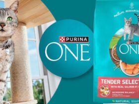 Purina One Tender Selects Salmon