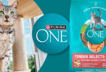 Purina One Tender Selects Salmon