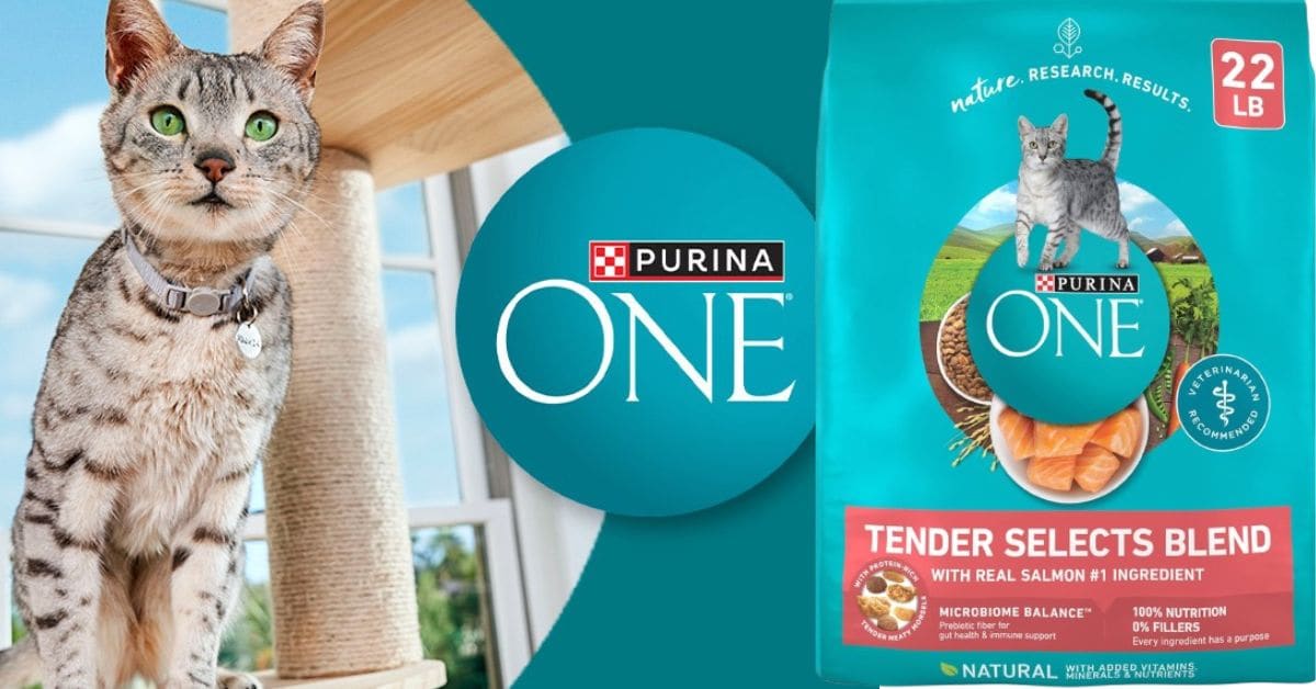 Purina One Tender Selects Salmon