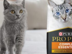 Purina Pro Plan Complete Essentials