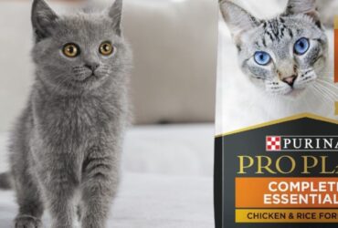 Purina Pro Plan Complete Essentials