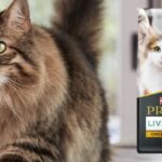 Purina Pro Plan Liveclear