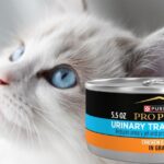 Purina Pro Plan Urinary Tract