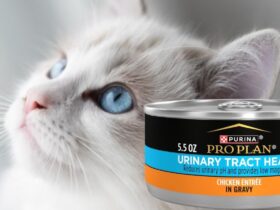 Purina Pro Plan Urinary Tract