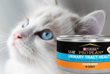 Purina Pro Plan Urinary Tract