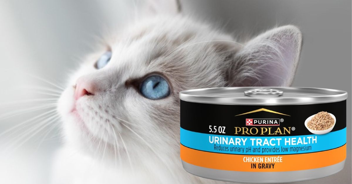 Purina Pro Plan Urinary Tract