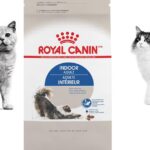 Royal Canin Indoor Adult Cat Food