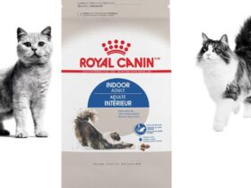 Royal Canin Indoor Adult Cat Food