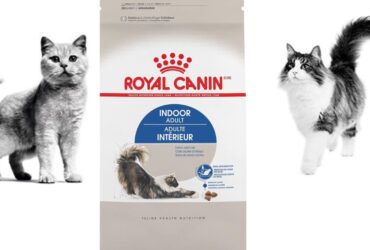 Royal Canin Indoor Adult Cat Food