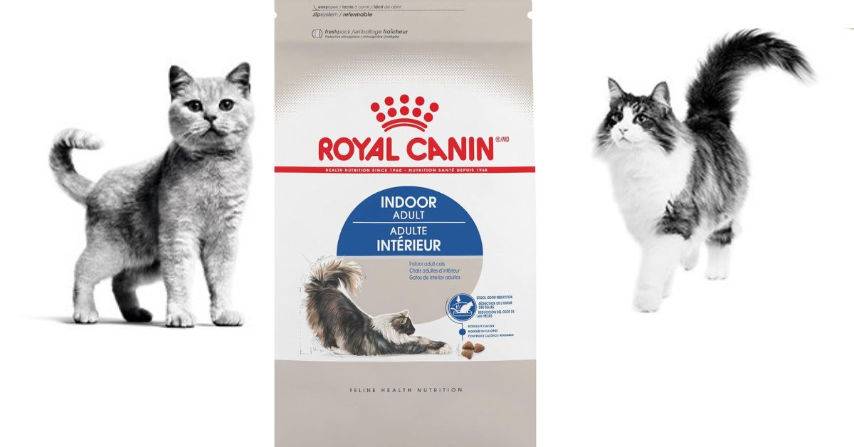 Royal Canin Indoor Adult Cat Food