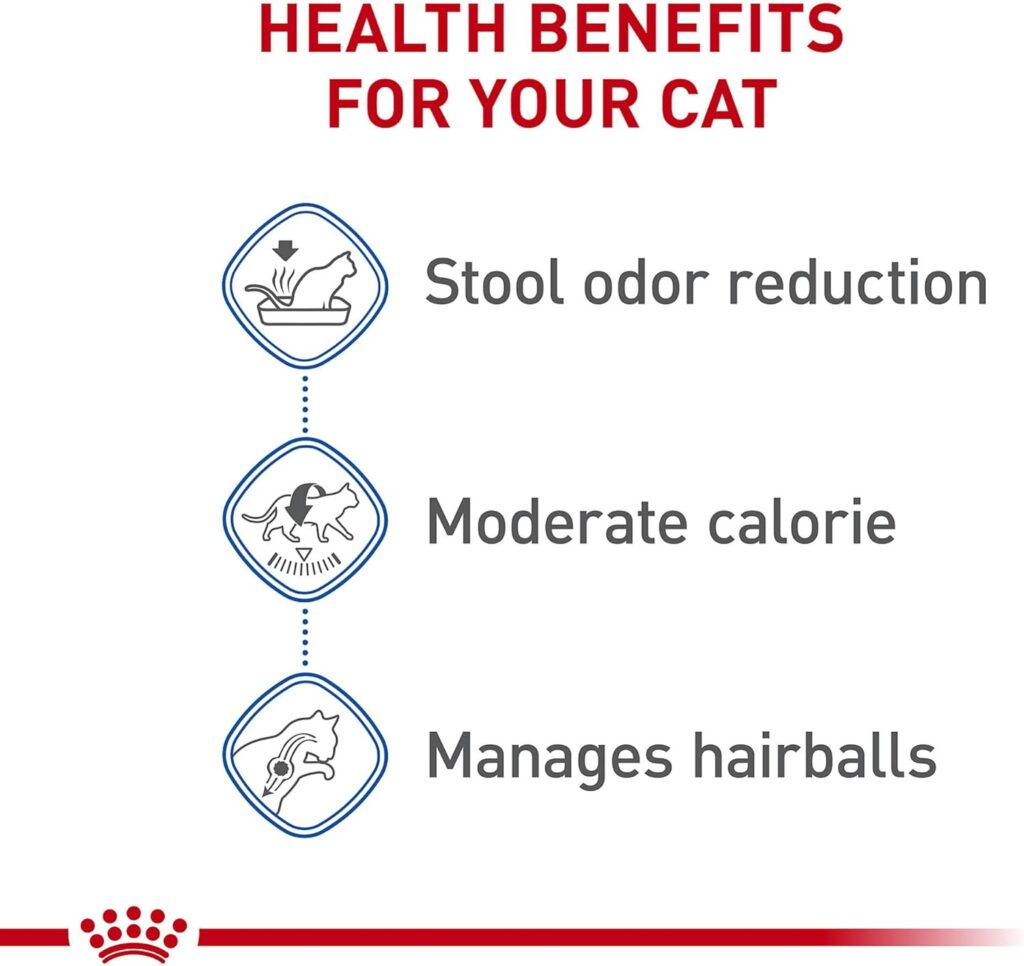 Royal Canin indoor adult cat food 7-pound Benefits For Indoor Cats
