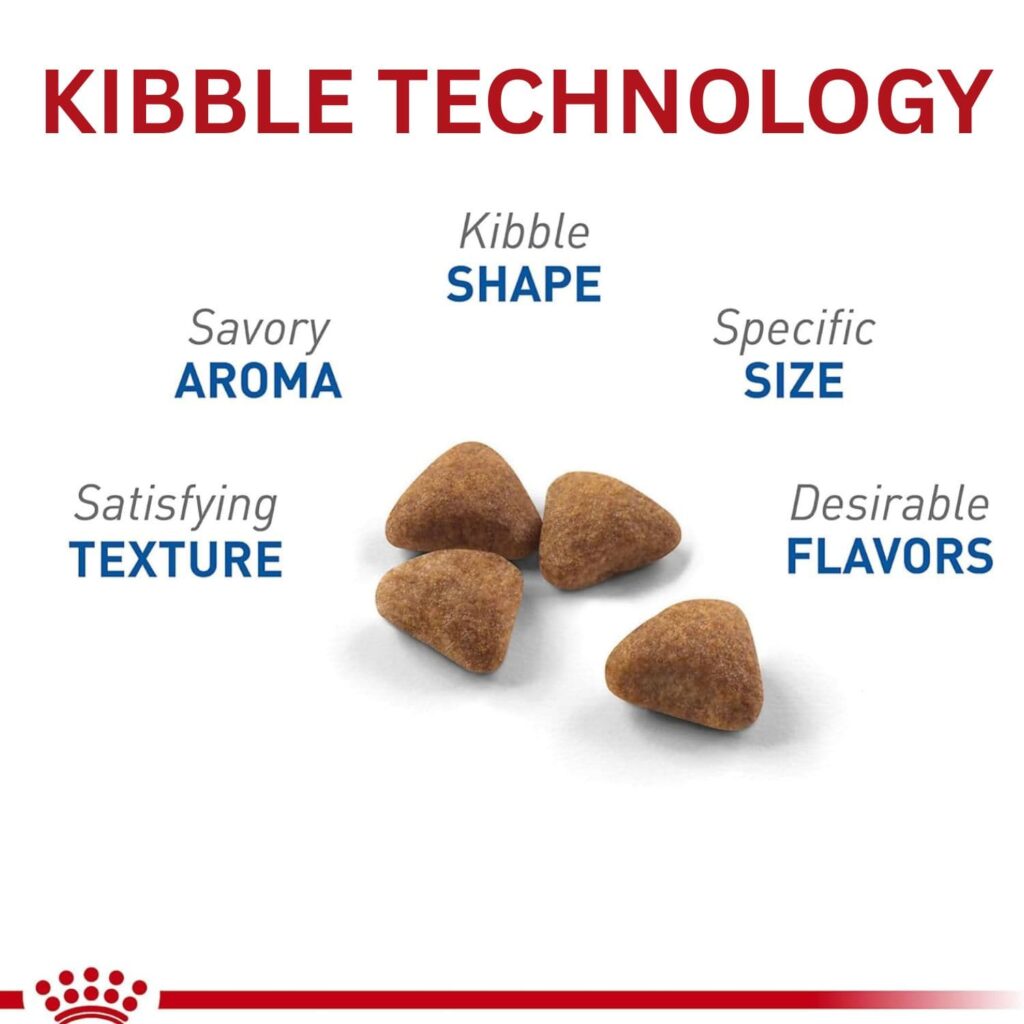 Royal Canin indoor adult cat food 7-pound Kibble Shape and texture