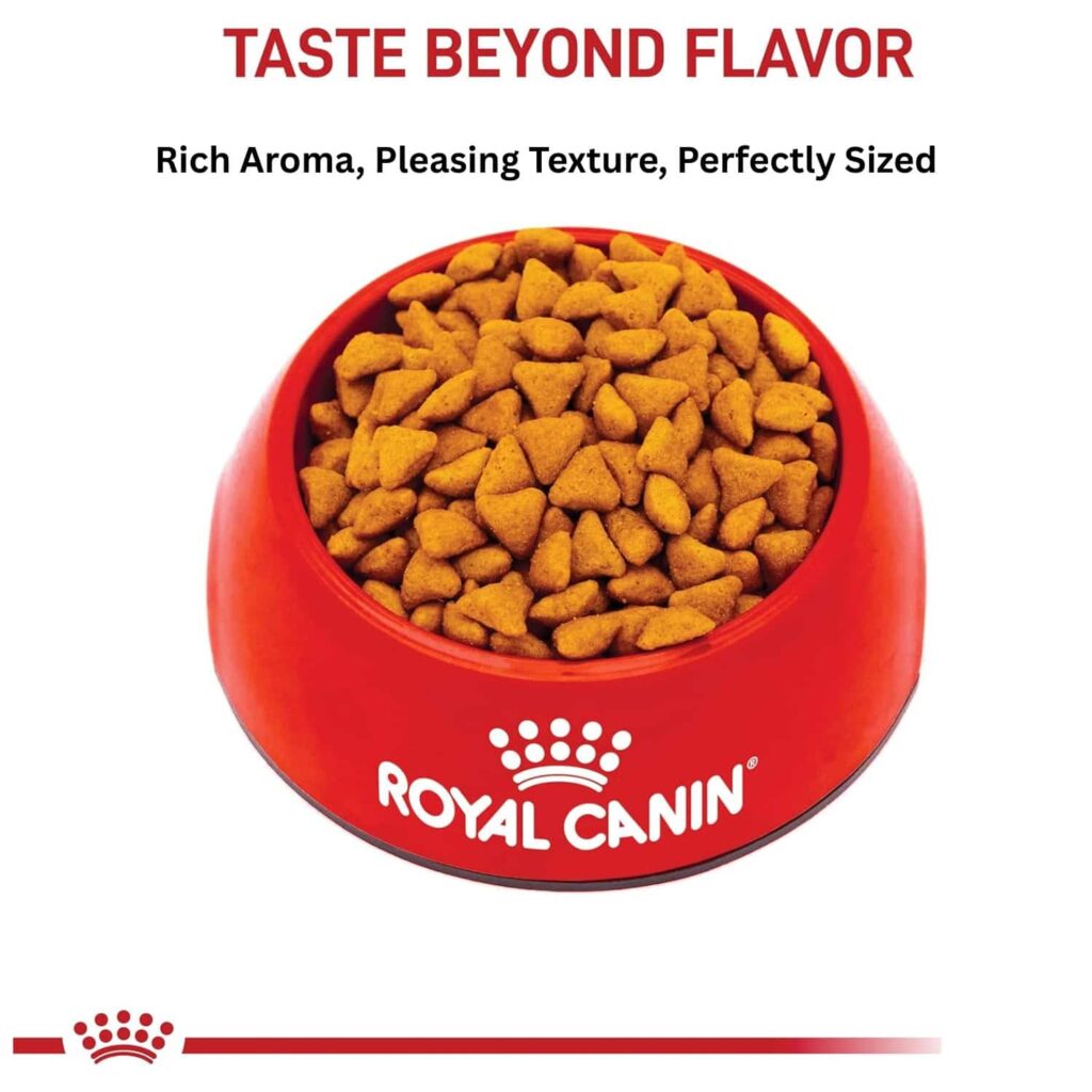 Royal Canin indoor adult cat food 7-pound Taste And Texture