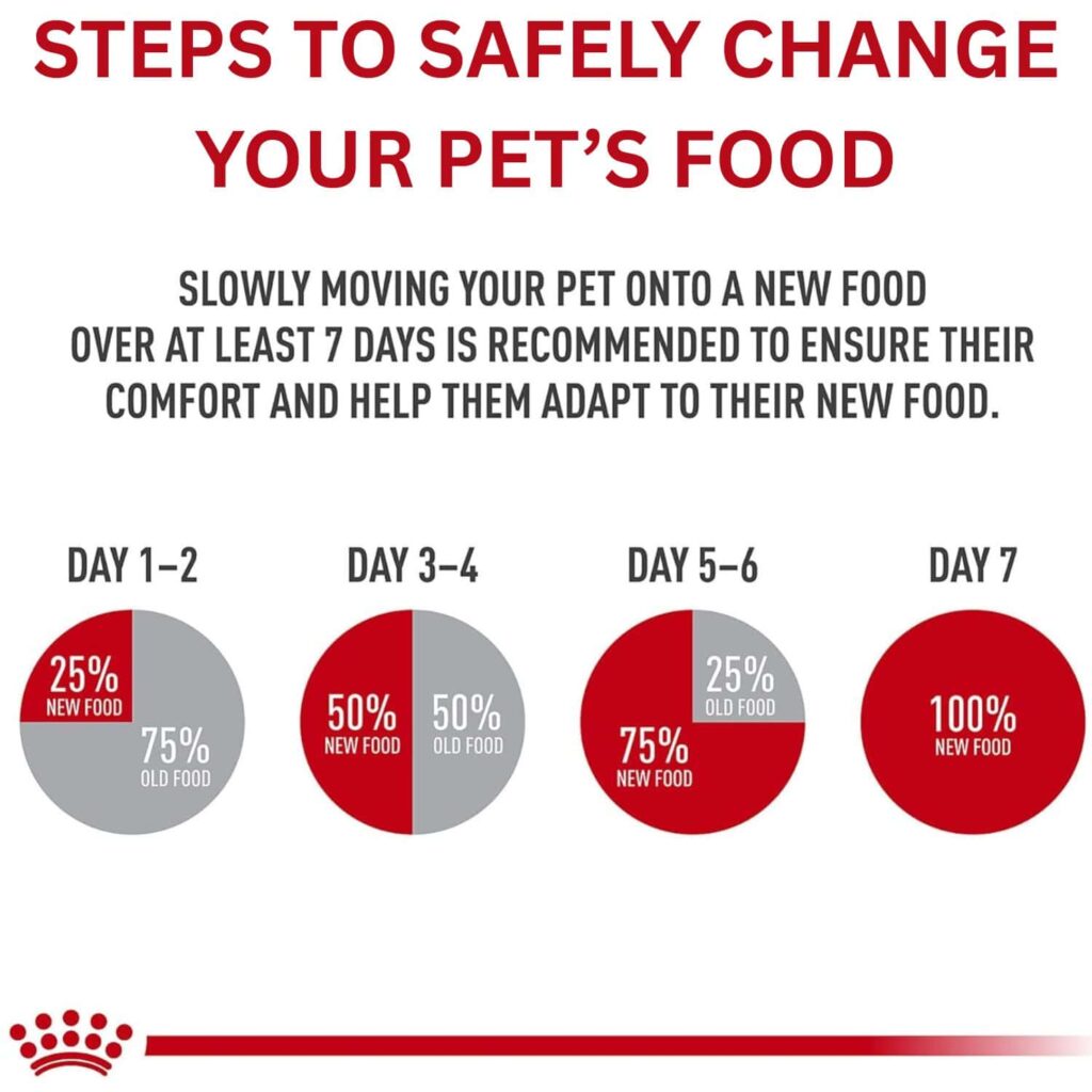 Royal Canin indoor adult cat food 7-pound Transitioning process