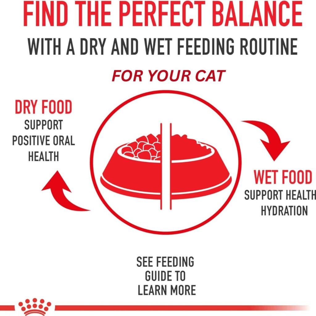 Royal Canin indoor adult cat food 7-pound balanced nutrition