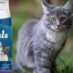 Tastefuls Kitten Food
