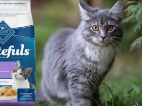Tastefuls Kitten Food