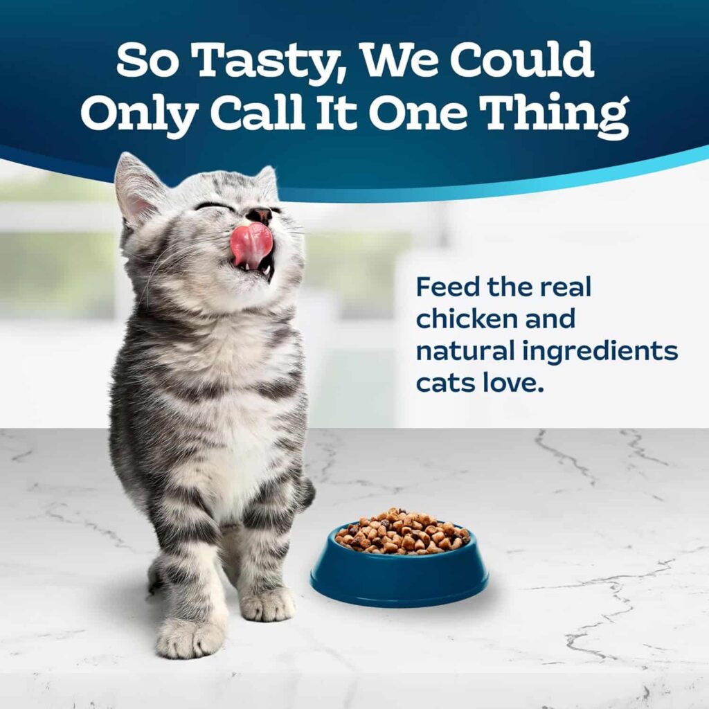 Tastefuls Kitten Food Taste Tests Tastefuls Kitten Food Taste Tests