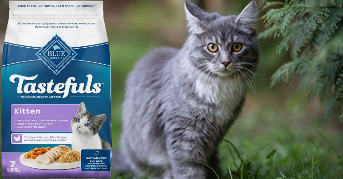 Tastefuls Kitten Food