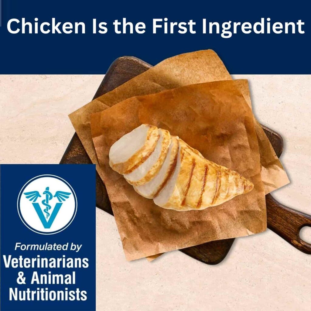 blissful belly cat food, real chicken is the main ingredient blissful belly cat food, real chicken is the main ingredient