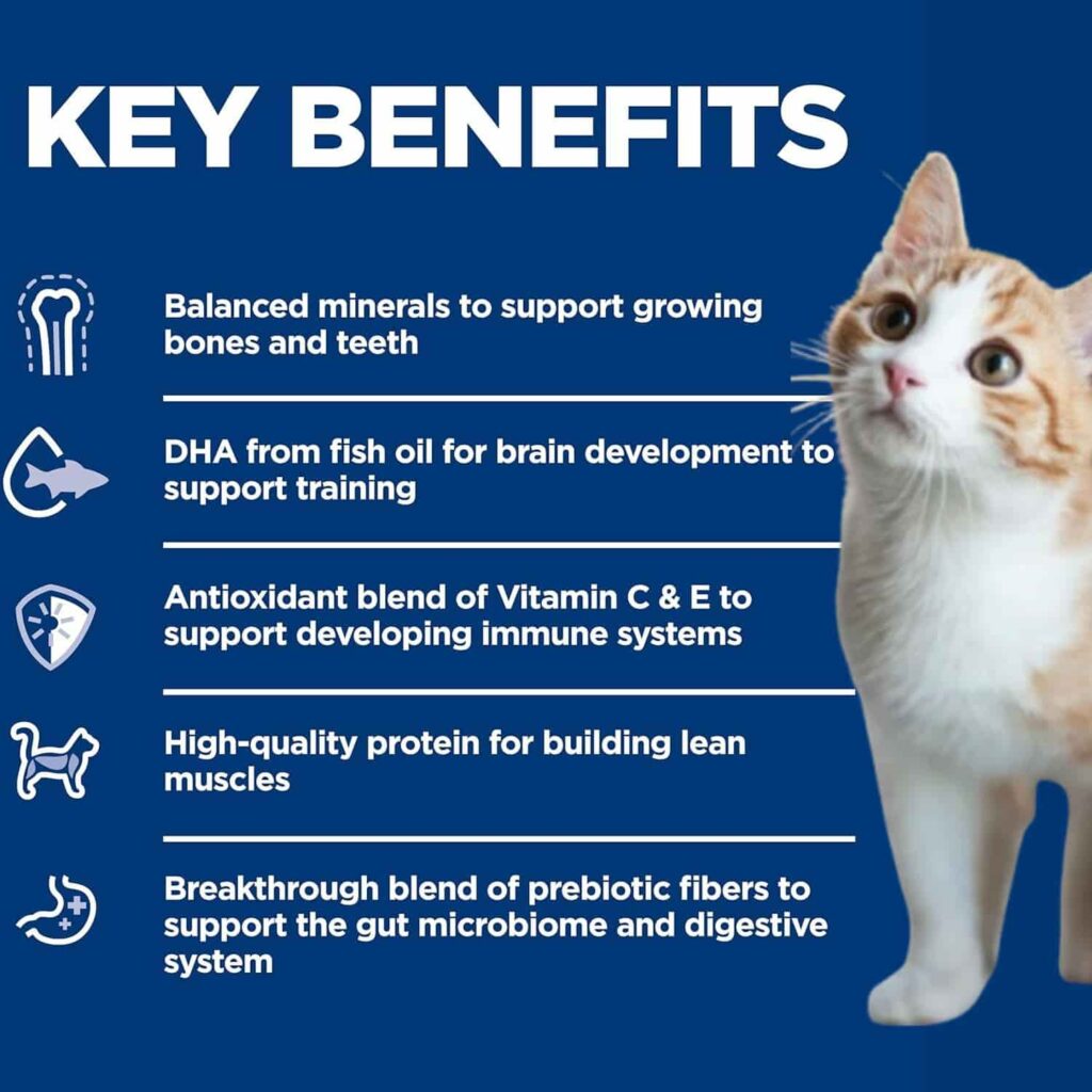 Hill's Science Diet Kitten Food Nutritional Benefits Hill's Science Diet Kitten Food Nutritional Benefits