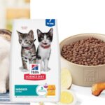 Hill's Science Diet Kitten Food