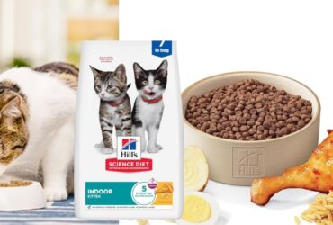 Hill's Science Diet Kitten Food