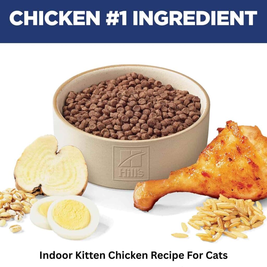 Hill's Science Diet Kitten Food High-quality Ingredients Hill's Science Diet Kitten Food High-quality Ingredients