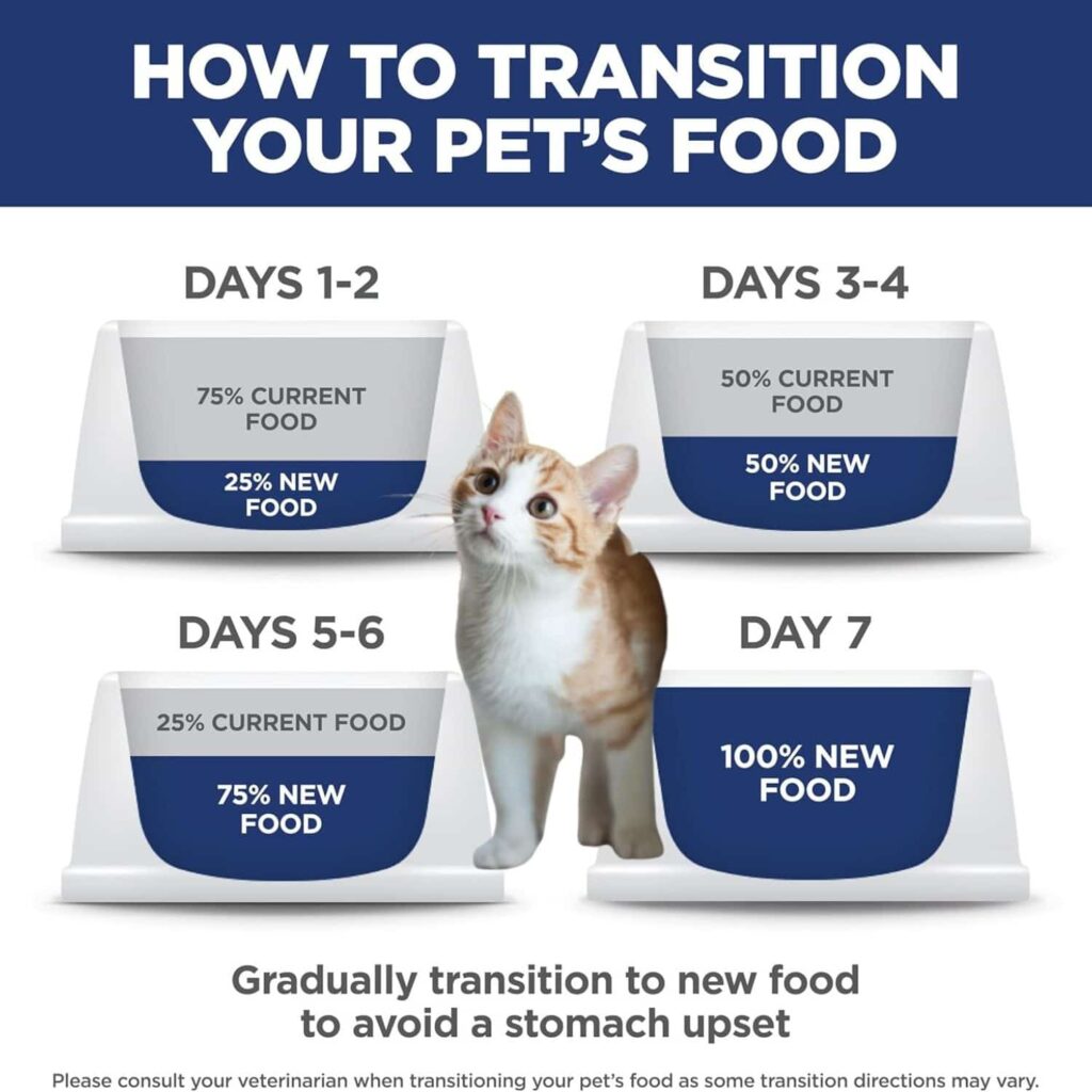 Hill's Science Diet Kitten Food Transitioning Hill's Science Diet Kitten Food Transitioning
