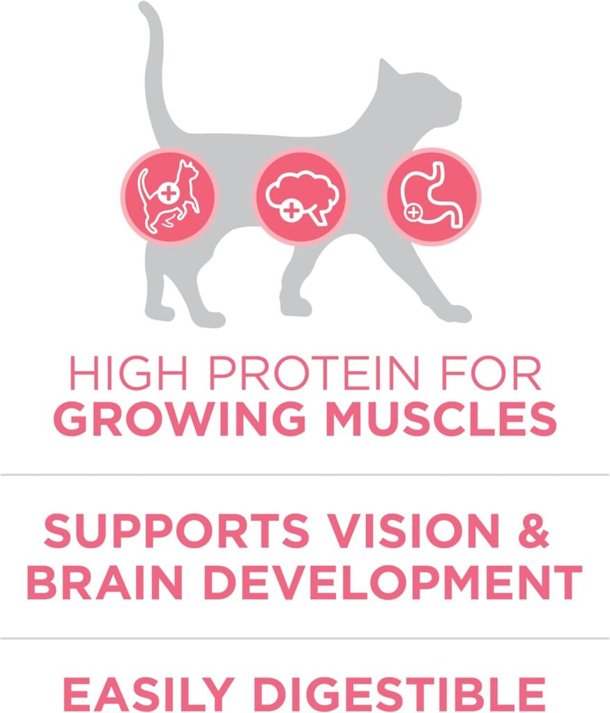 Purina One Healthy Kitten Formula Dry Cat Food 16 lb Benefits