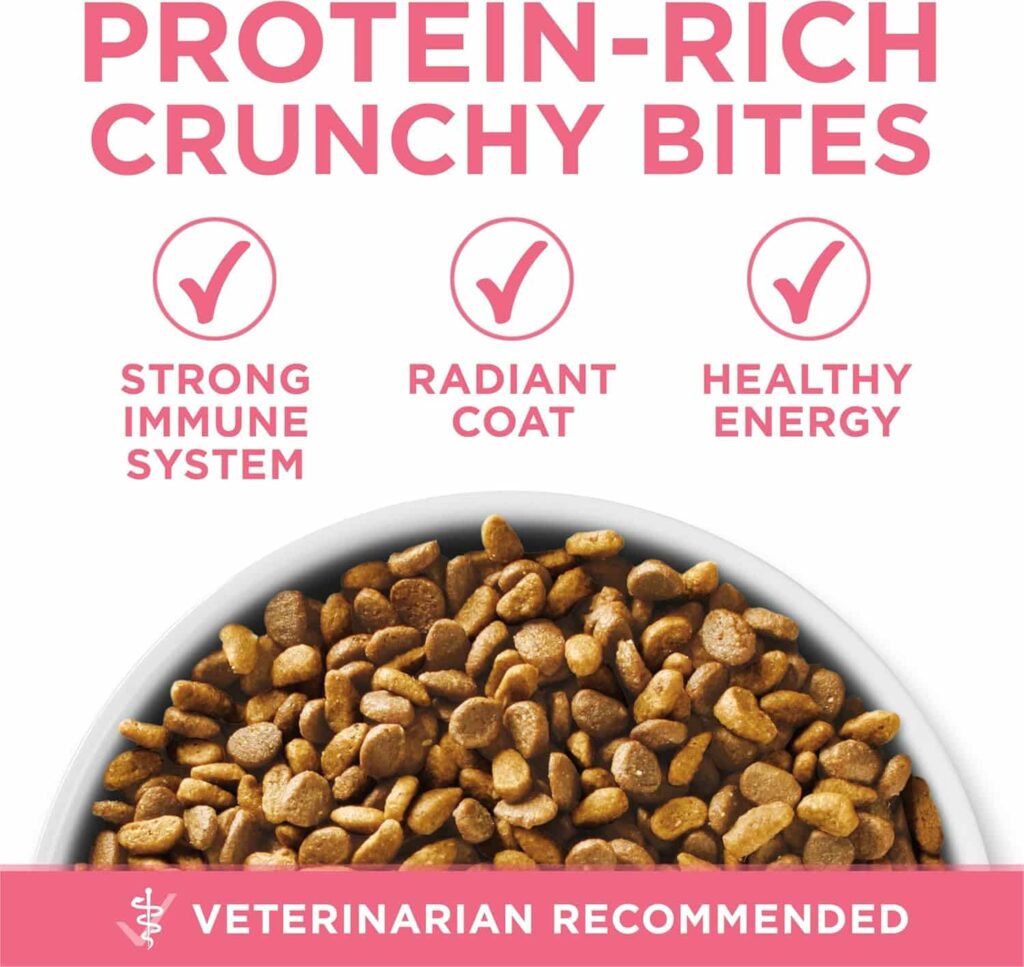 Purina One Healthy Kitten Formula Dry Cat Food 16 lb Health Benefits