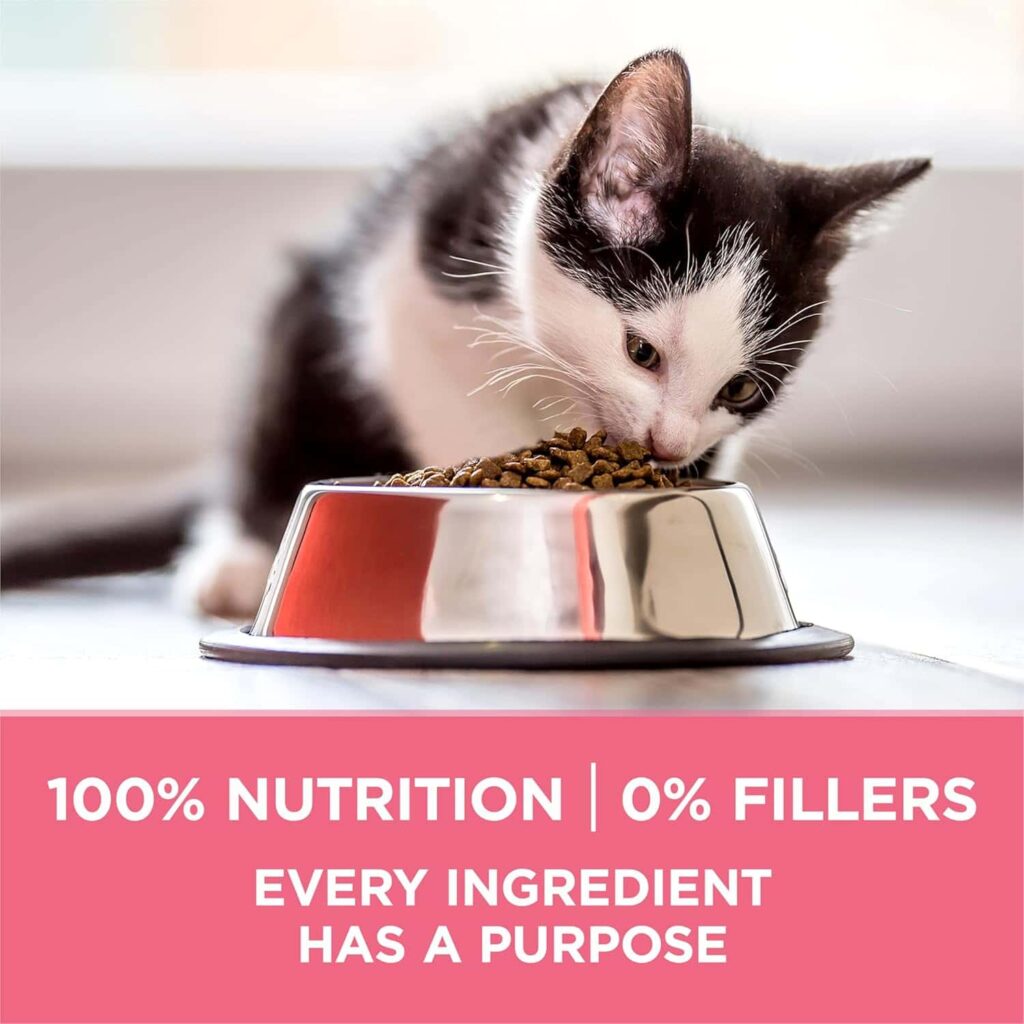 Purina One Healthy Kitten Formula Dry Cat Food 16 lb Nutritional benefits