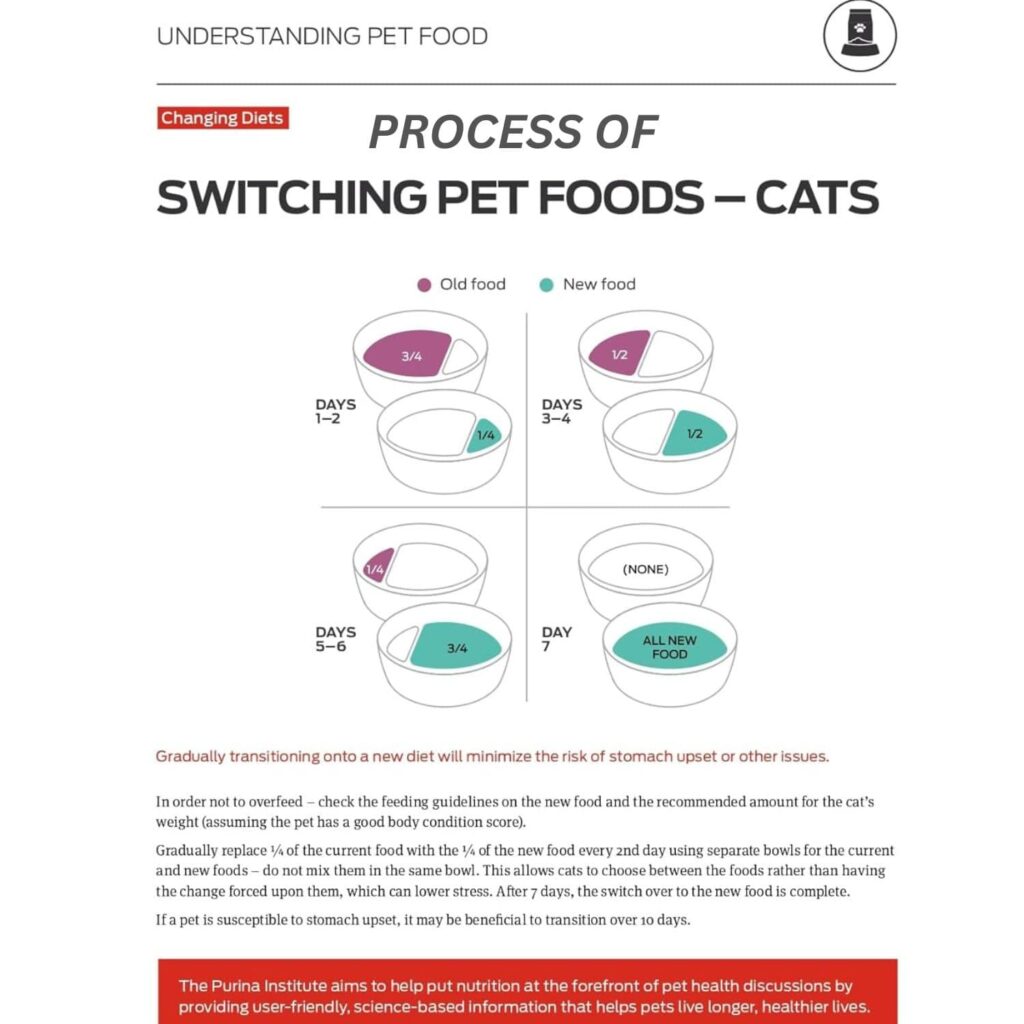 Purina One Healthy Kitten Formula Dry Cat Food 16 lb Transitioning To Dry Food