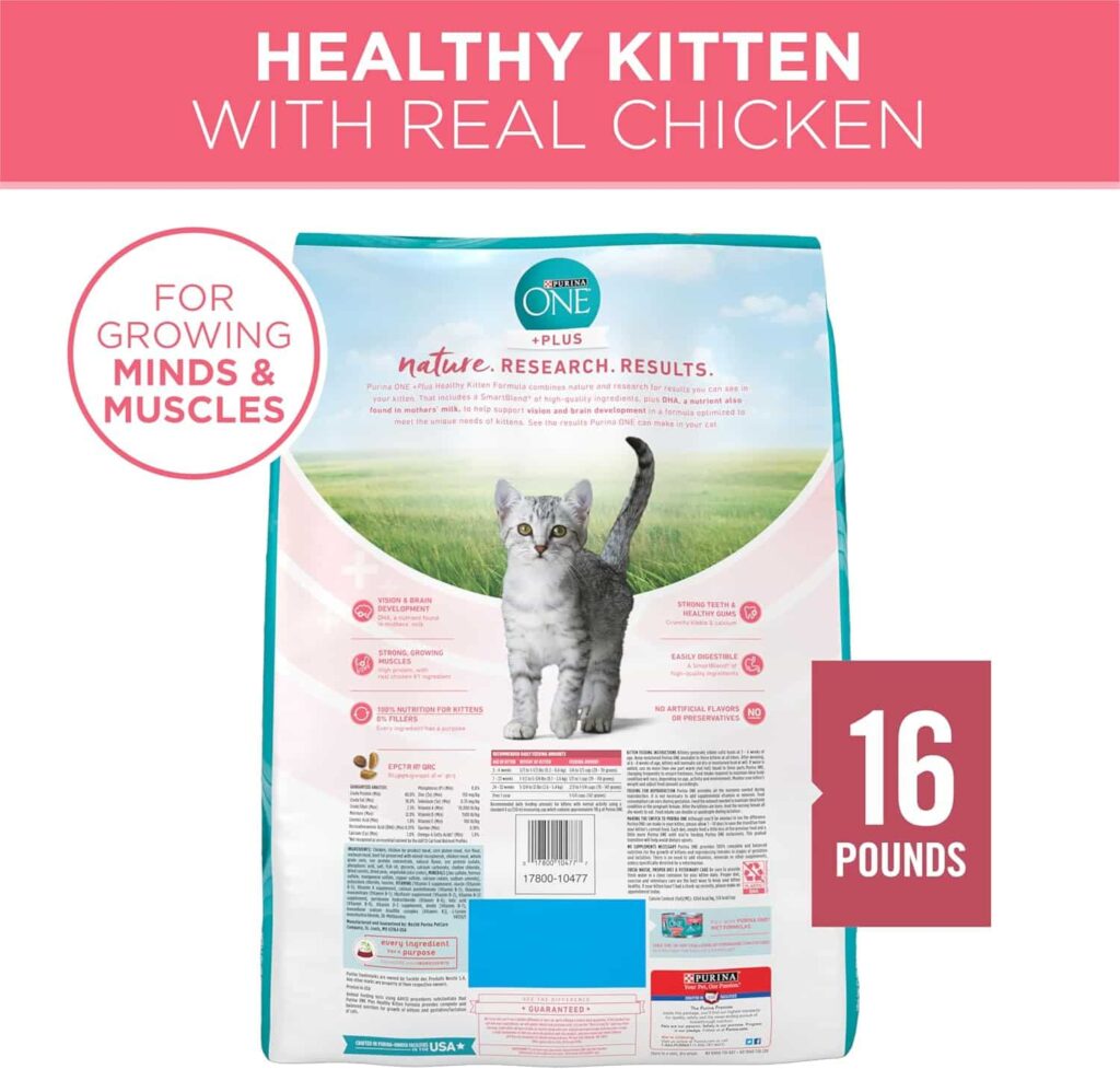 Purina One Healthy Kitten Formula Dry Cat Food Feline Growth Secrets Revealed!