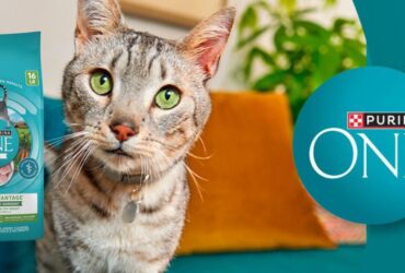 Purina One Indoor Advantage