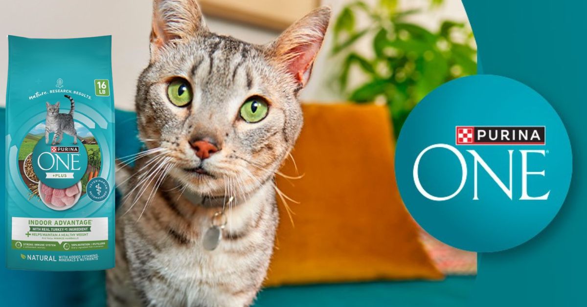 Purina One Indoor Advantage