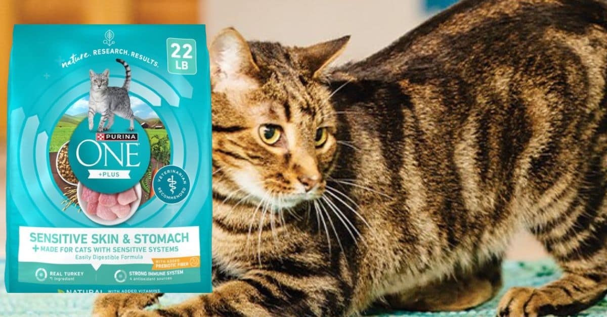 Purina One Sensitive Stomach Cat Food
