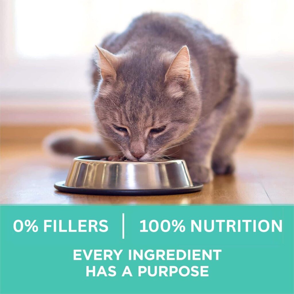 Purina One Sensitive Stomach Dry Cat Food Soothe Your Pet's Tummy